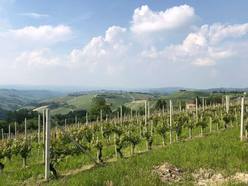 Villa di Lusso ad Alba